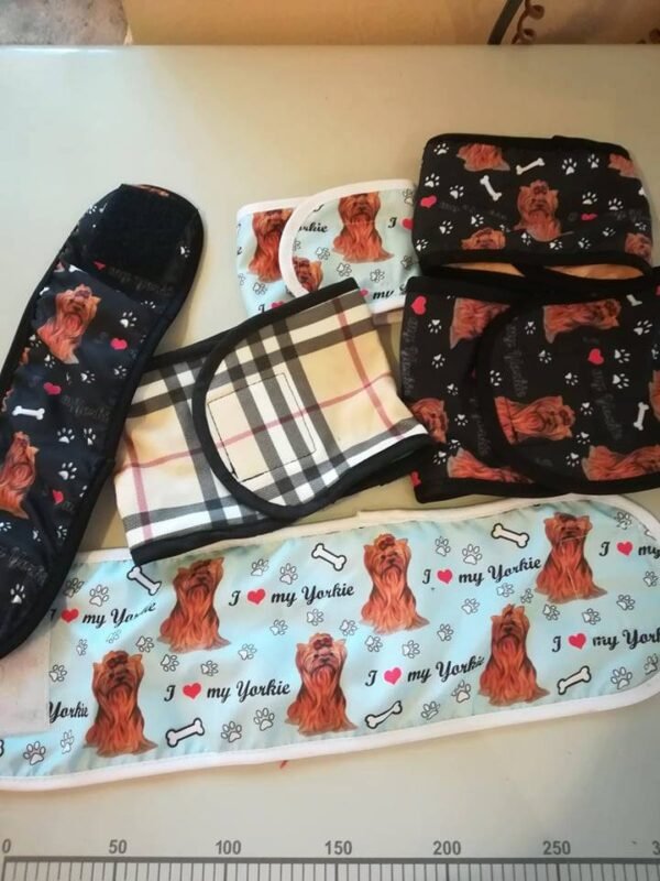 Санитарни пояси