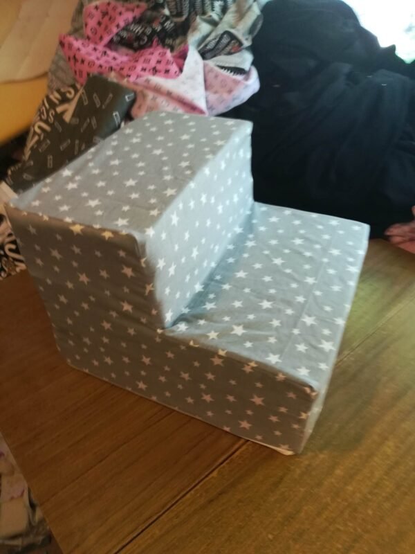 349141161_156835387362734_5893723461545181772_n Стълбички на две стъпала