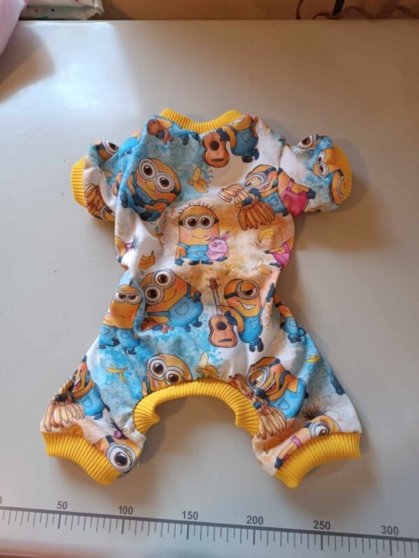 423944284_922770132828492_1338692645958791496_n Пижамка с миньони