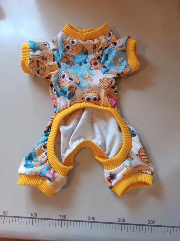 426833037_368535429371092_5817170344634776327_n Пижамка с миньони