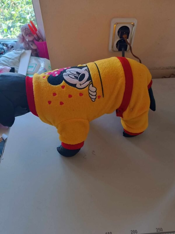 427151501_358432400442122_2025672138855832656_n Поларен гащеризон