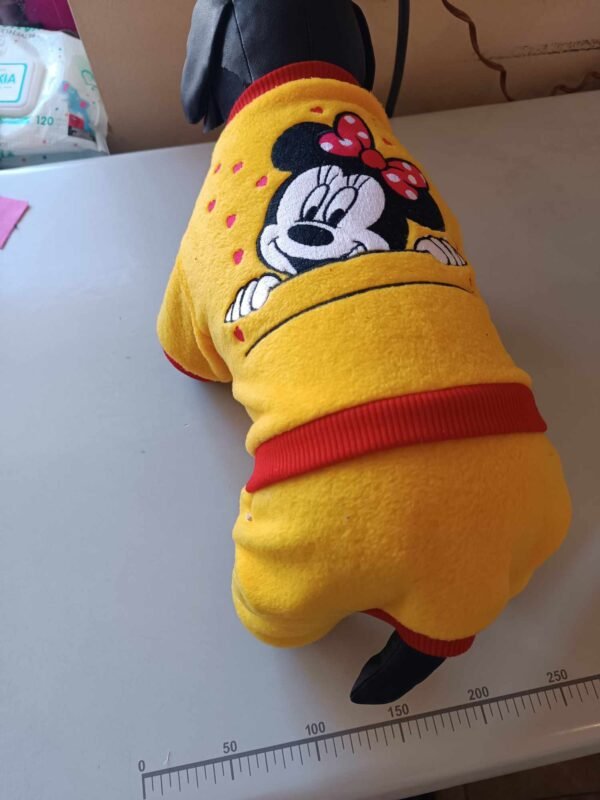 429122075_1119962522350440_6861339451273127718_n Поларен гащеризон