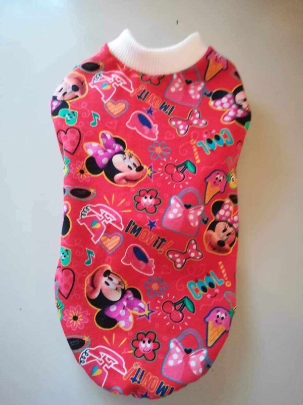 452472138_1219469169059715_1670514226701877518_n Памучни блузки с Мини Маус