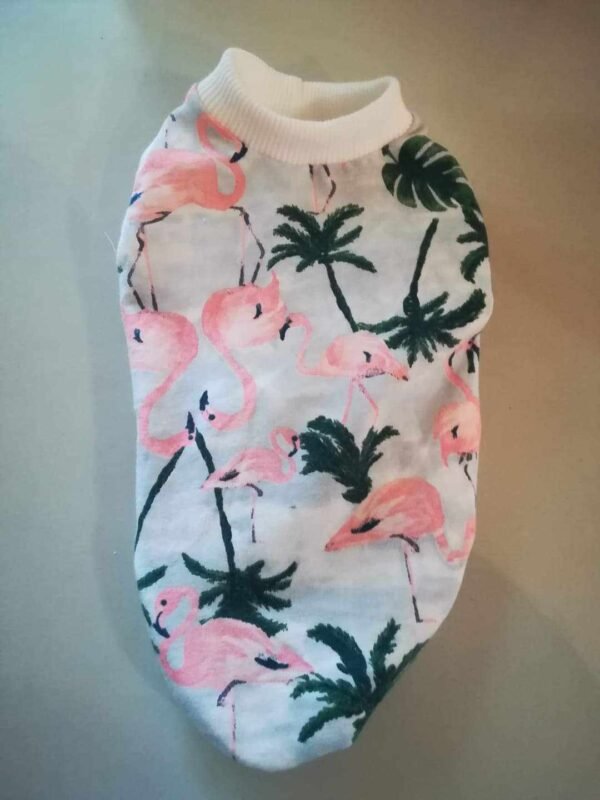 452598357_2399862850204426_6458322069144521240_n Блузка с палми