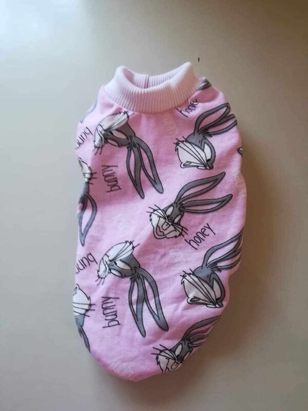 455717916_1236182634503197_6486460710688856733_n Блузка Бъгс Бъни