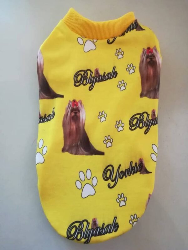 98207809_1358041211052495_2101014099017072640_n Блузка с йорки