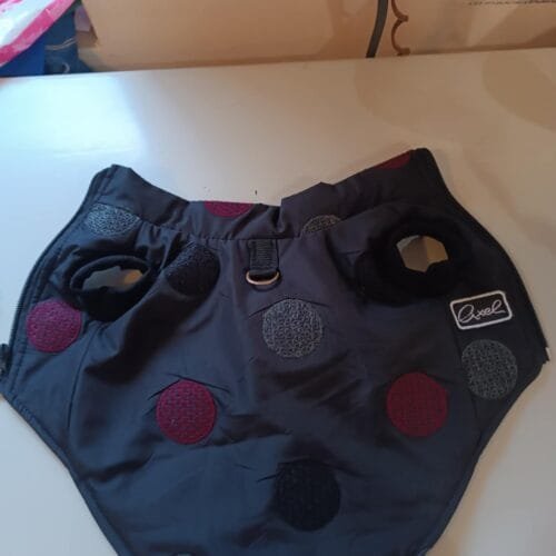 Яке пролет-есен