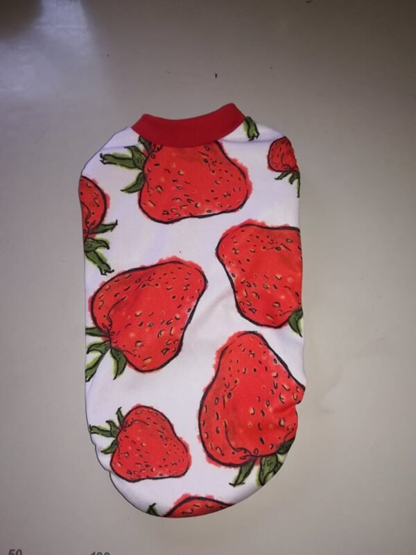 Блузки трико щампа