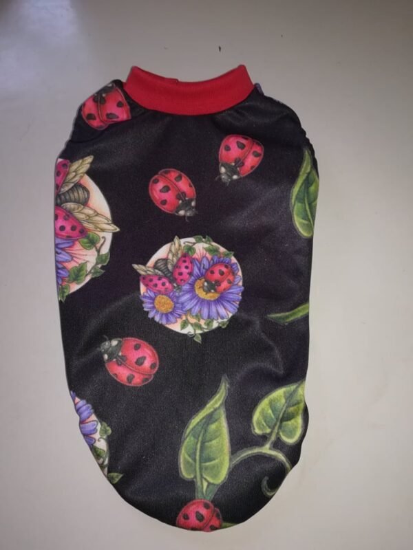 Блузки трико щампа