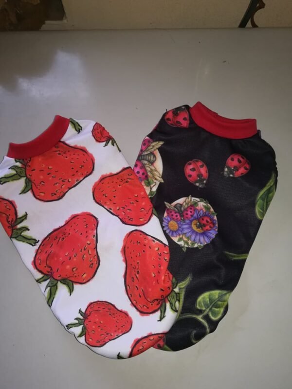 Блузки трико щампа