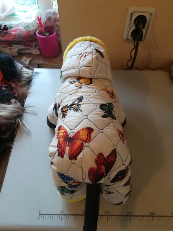 316510343_1220177531901071_7081201374001028853_n Зимен гащеризон с пеперуди