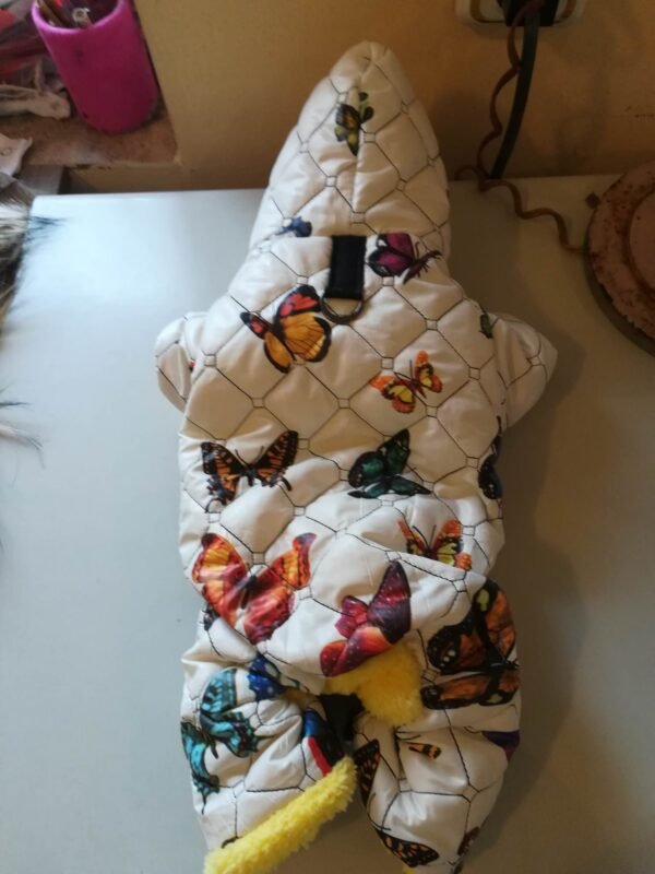 316536048_1313354522758681_8485771574436969981_n Зимен гащеризон с пеперуди