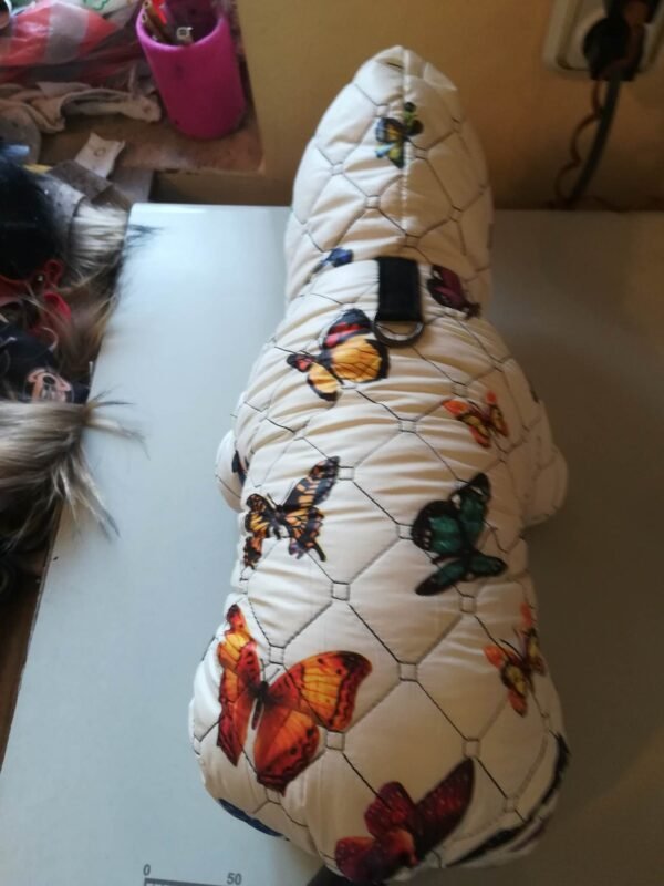 316754855_1345405339598347_7497550570017307565_n Зимен гащеризон с пеперуди