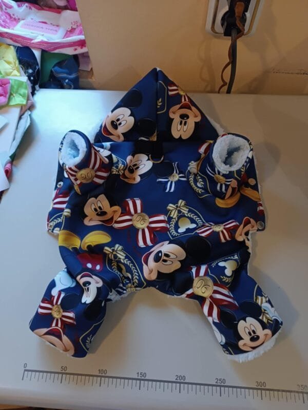 Гащеризон с Мики маус