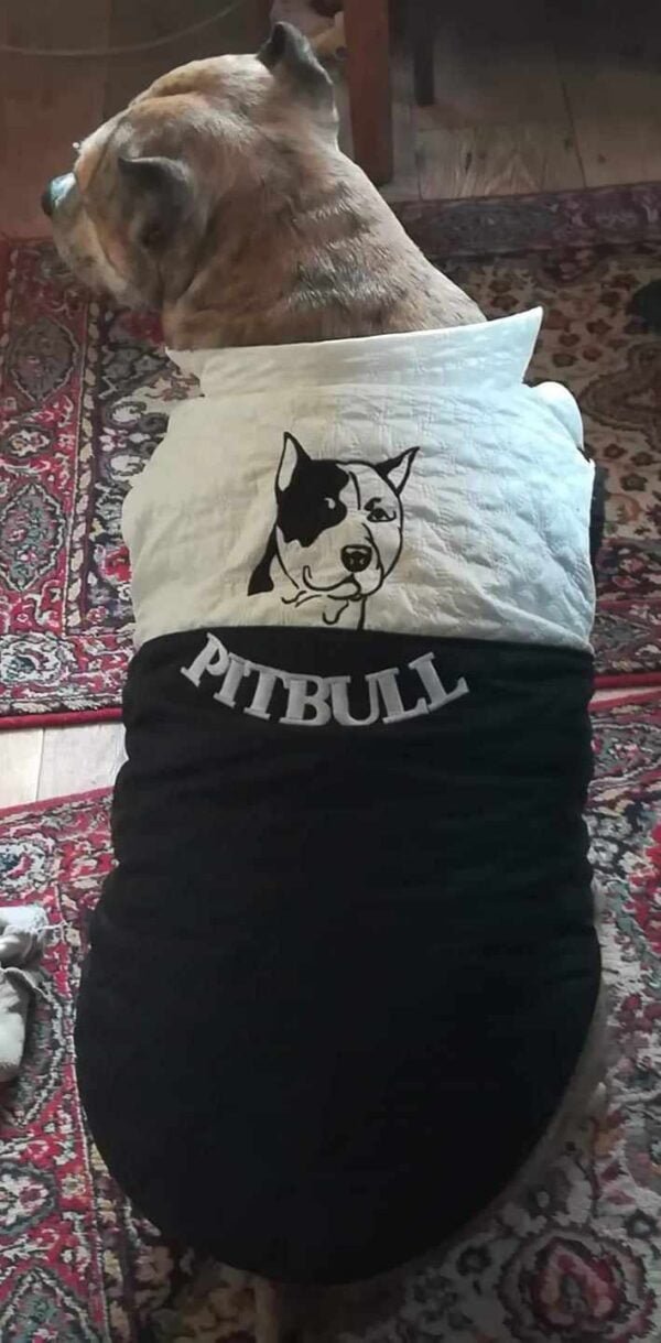 457238520_1223501162117386_3197942740304184813_n Якета за питбулчета