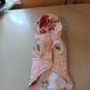 Яке пролет есен