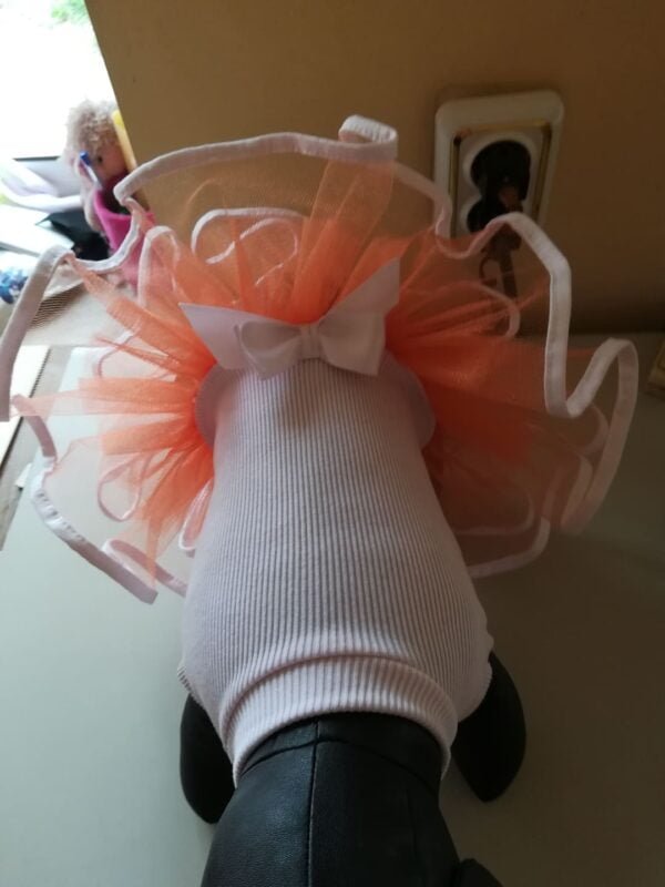 54424821_1041694702687149_2573955170140422144_n Рокля пачка