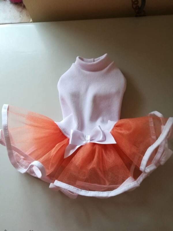 54437012_1041694719353814_2526195610550272000_n Рокля пачка