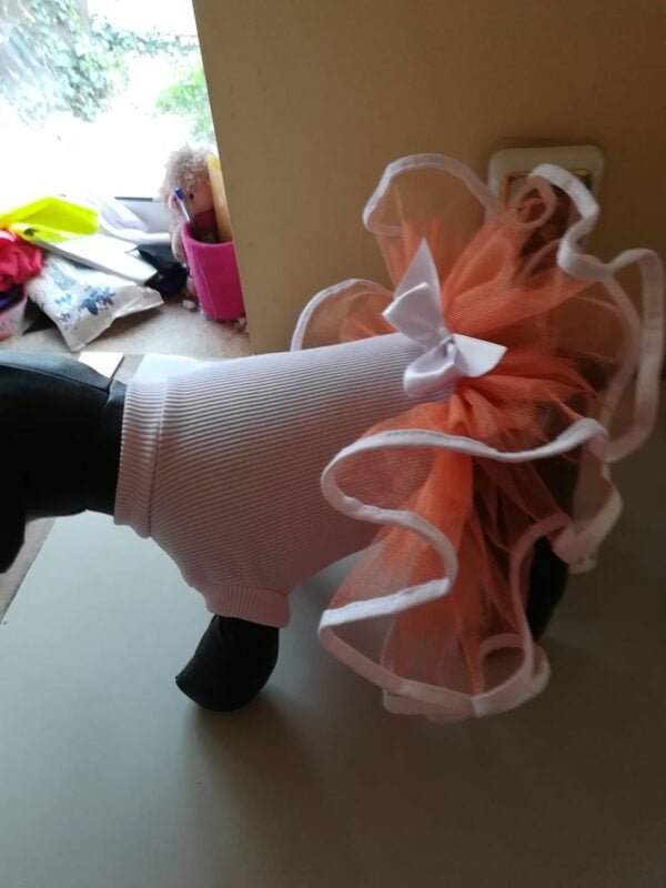 55491761_1041694676020485_2307279199032836096_n Рокля пачка