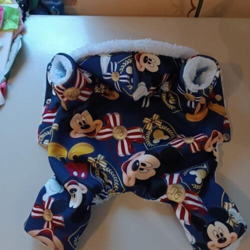 Гащеризон с Мики маус