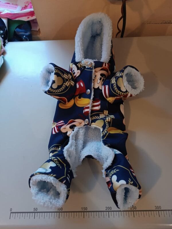 Гащеризон с Мики маус