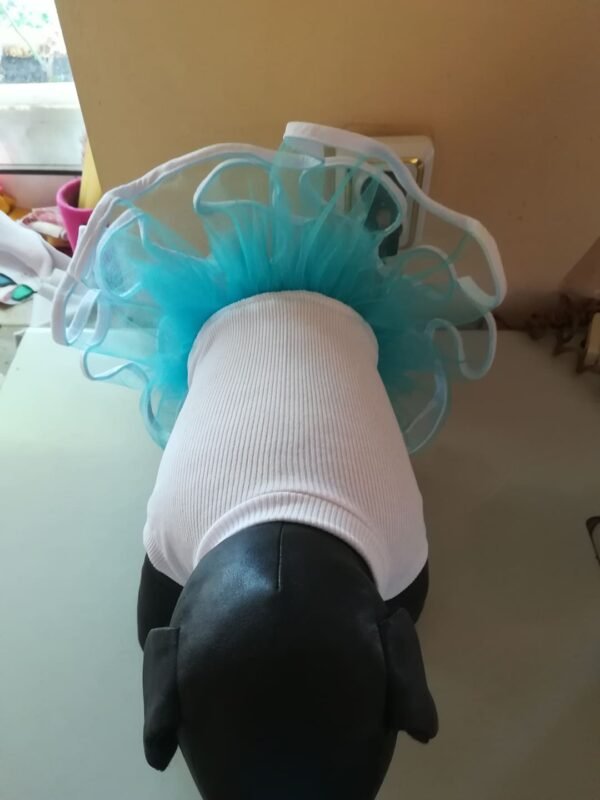 92929999_1332266473629969_4539440987721695232_n Рокля пачка