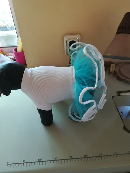 92941293_1332266523629964_3016879277472743424_n Рокля пачка