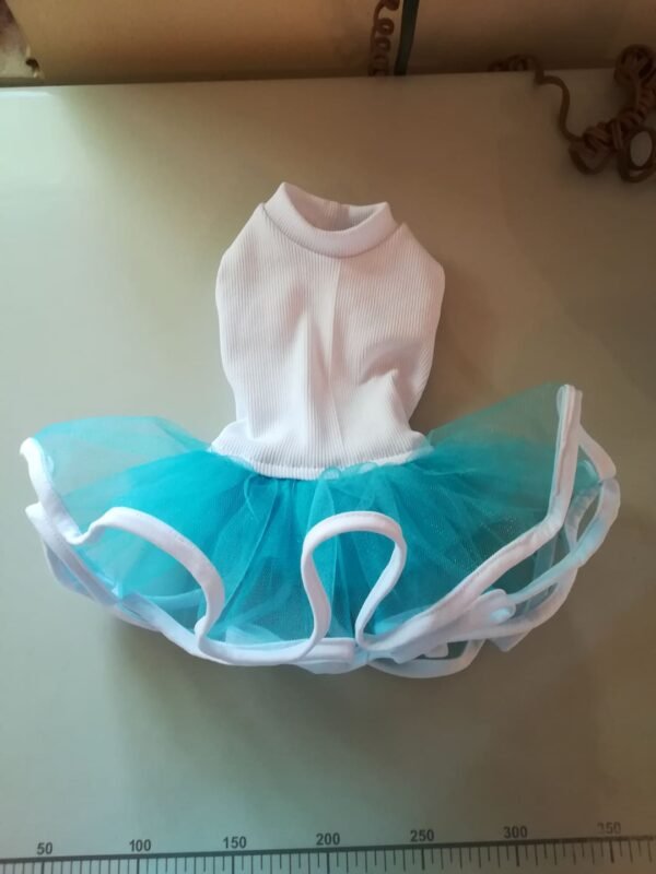 93137227_1332266566963293_534106791307378688_n Рокля пачка