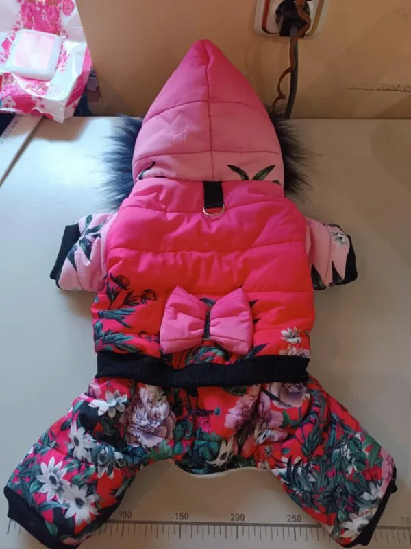 Гащеризони за момичета