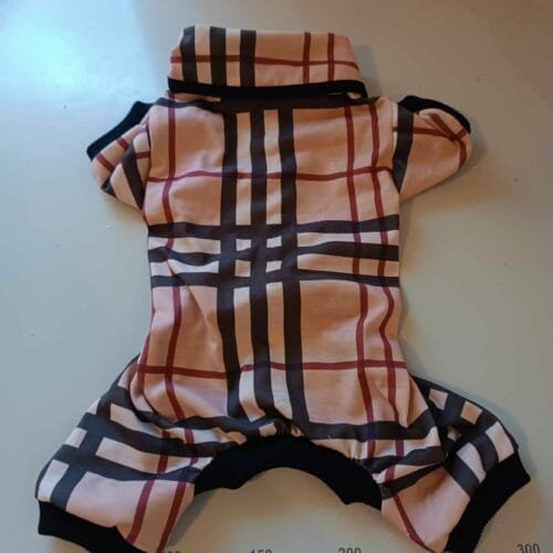 462543275_1334320384197795_615767219086053924_n Гащеризонче в райе