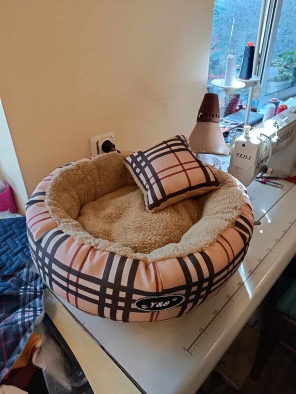 Зимно легло с кохавлия