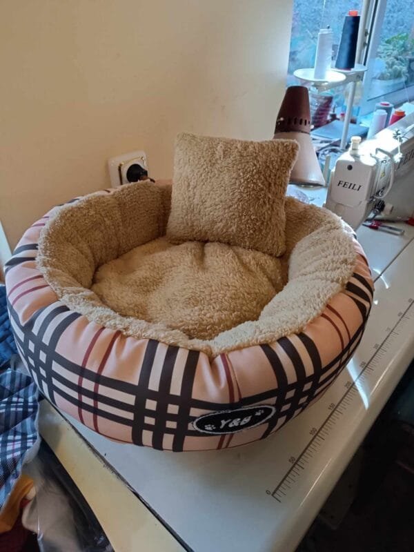 Зимно легло с кохавлия