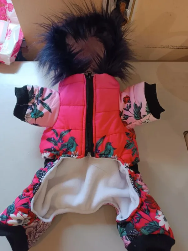 Гащеризони за момичета