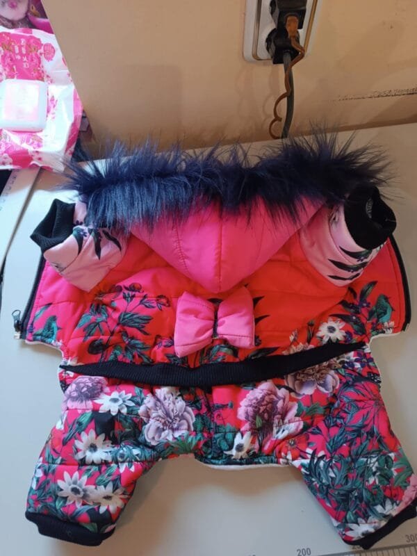 b024edf3-8dd5-4843-a888-cccf8e04b32d Гащеризони за момичета