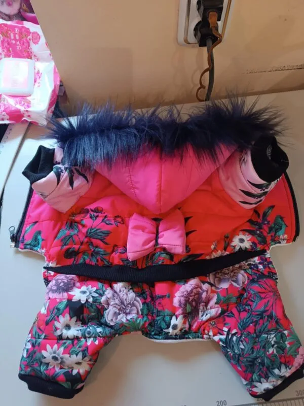 Гащеризони за момичета