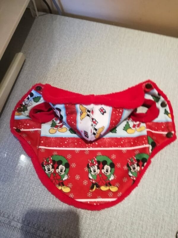 126943637_1512922818897666_6598377543971917230_n Коледно палто Мики Маус