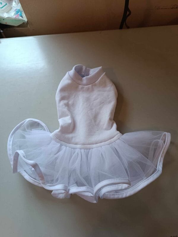 462576944_1997301720733385_2418656570977330982_n Рокля с тюл