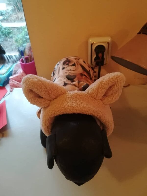 142830785_1558677624322185_8338858076458790939_n Поларен гащеризон