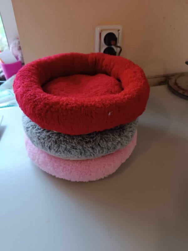 474086780_1309419383698856_9196858532040228291_n Мини легла за малки животни