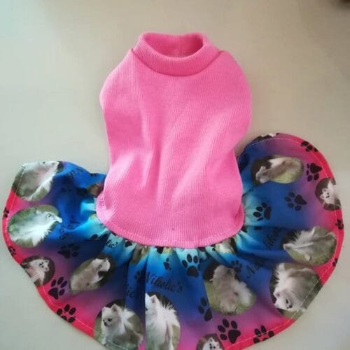 100059253_1362627480593868_6558728155517943808_n Рокля с Чихуа хуа