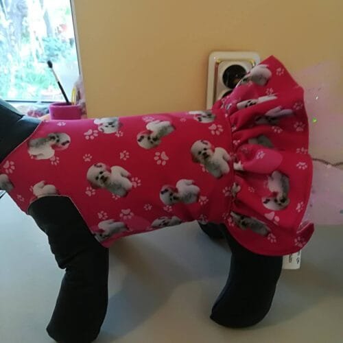 33553758_841338812722740_5712633861792333824_n Рокля с пудели