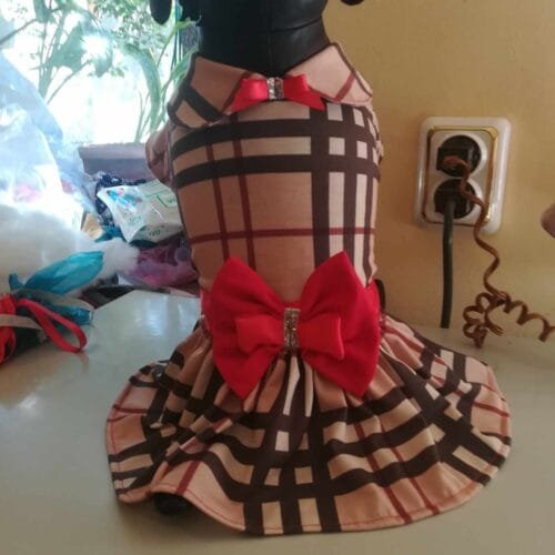 487824496_1285444636626654_2867168049126472506_n Рокля с ръкав