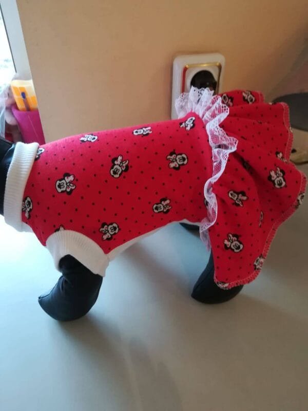 51401472_1016092285247391_4725127091241091072_n Памучна рокля с Мини Маус