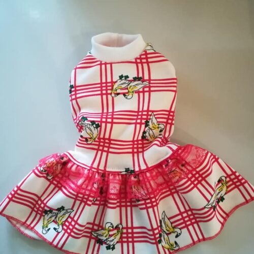 61275539_1083291615194124_7229695694620065792_n Рокля с патета