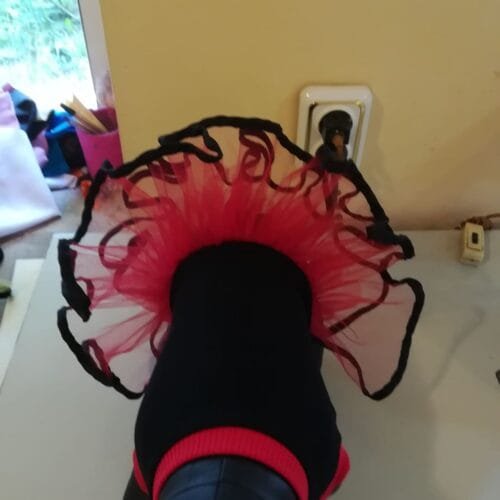 62655001_1093033150886637_6003712698909458432_n Рокля -пачка