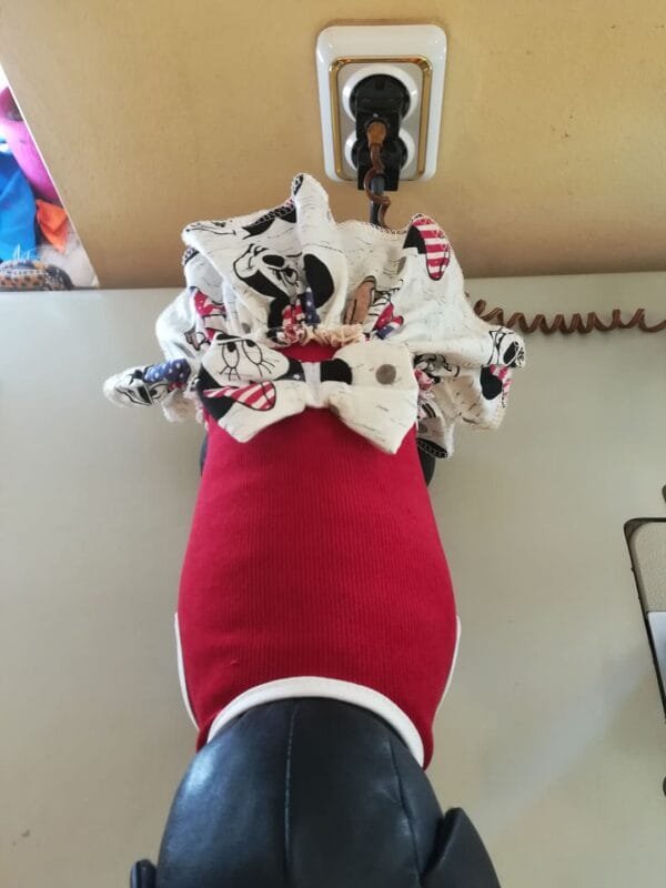 66853276_1118089208381031_7734459767577378816_n Рокля от кадифе