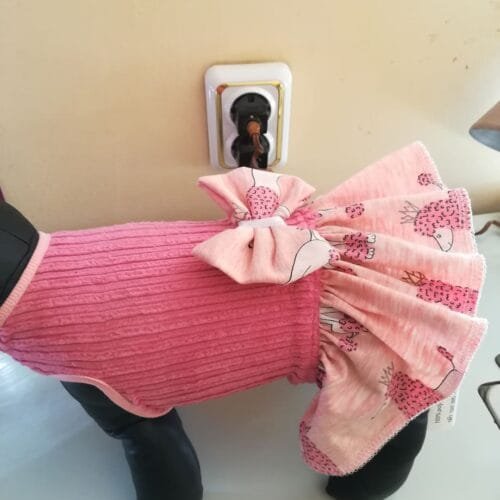 66863293_1118072681716017_3530029806651441152_n Рокля от кадифе