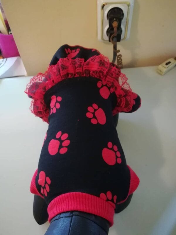 67647507_1127701617419790_7366692154791428096_n Рокля с лапички