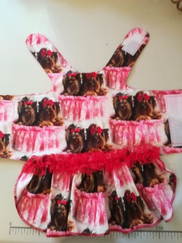 70265486_1154315548091730_8155105935379922944_n Рокля с йоркита