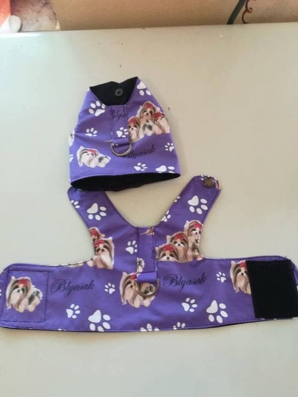 96878852_1355613134628636_2539364272337584128_n Лилав нагръдник